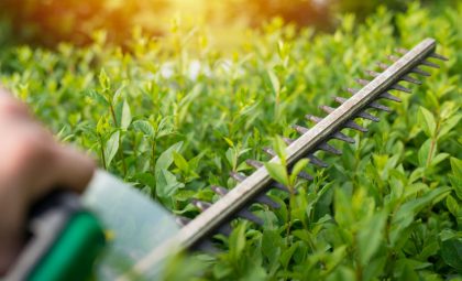 Cómo prevenir incendios en tu jardín