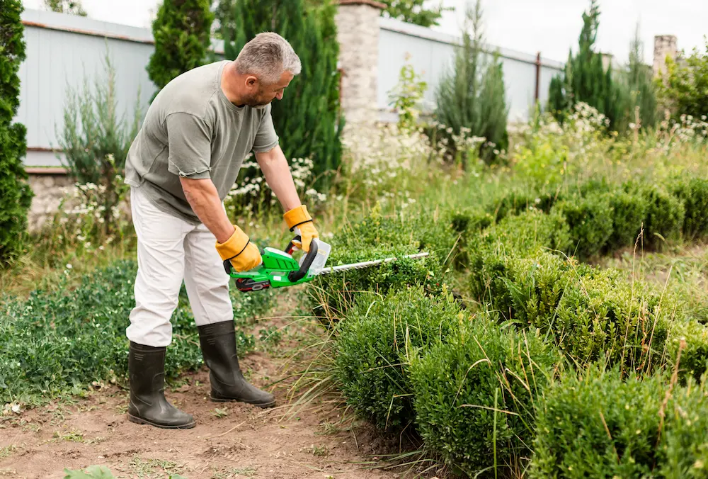 Herramientas esenciales para el mantenimiento de jardines