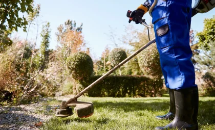 Mantenimiento de jardines