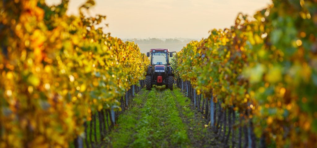 Maquinaria imprescindible para la elaboración de vino