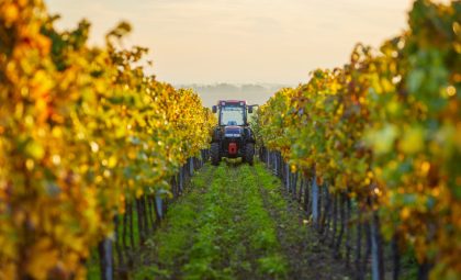 Maquinaria imprescindible para la elaboración de vino