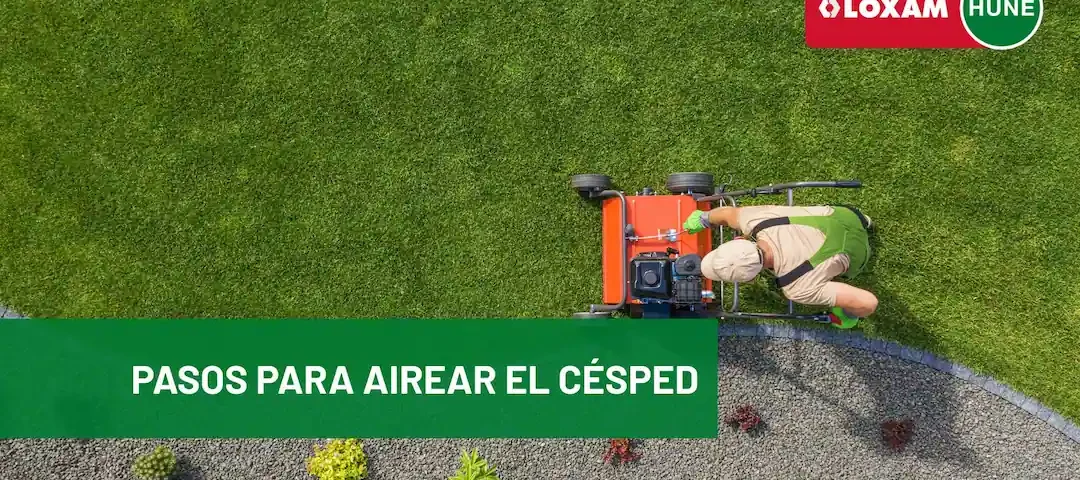 Pasos para airear el césped