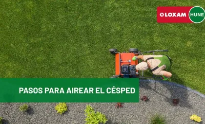 Pasos para airear el césped
