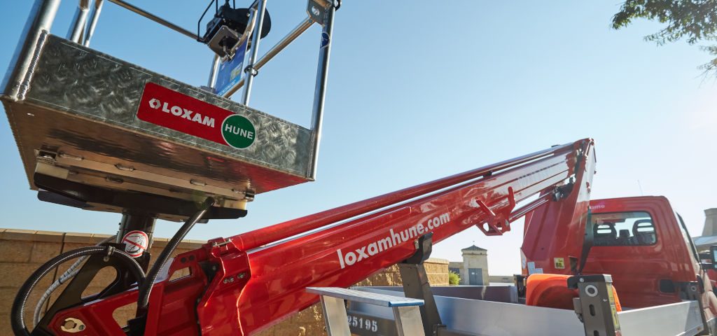 Trabajos de poda y mantenimiento de espacios verdes en instalaciones y vías públicas