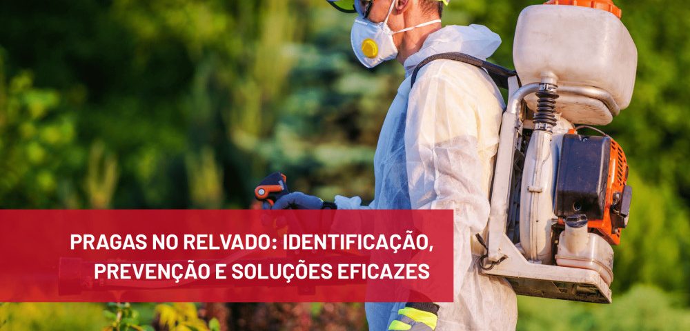 Pragas no relvado