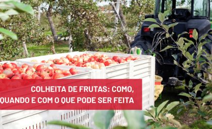 Colheita de frutas